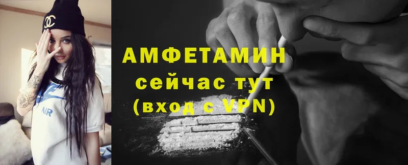 что такое   Корсаков  kraken зеркало  Amphetamine VHQ 