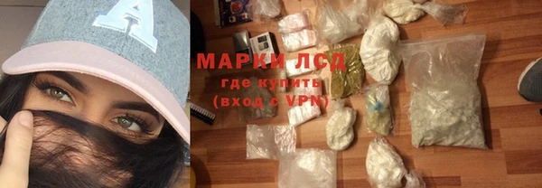 стафф Осинники