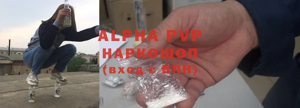 стафф Осинники