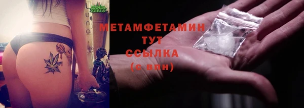 прущие грибы Нязепетровск
