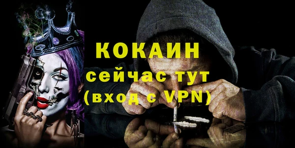 прущие грибы Нязепетровск