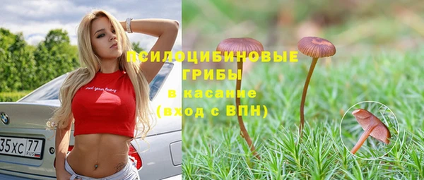 таблы Осташков