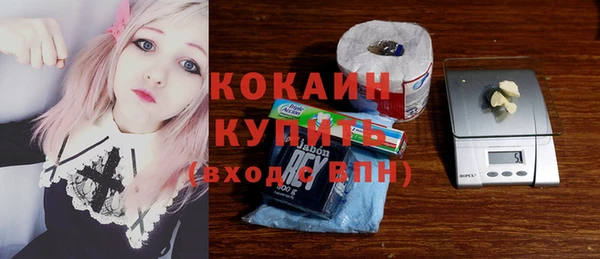стафф Осинники