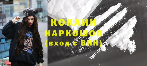 стафф Осинники
