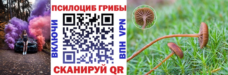 shop официальный сайт  Корсаков  Галлюциногенные грибы Psilocybine cubensis 