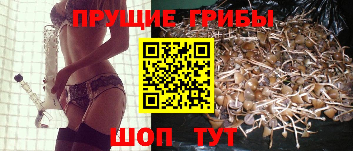 Псилоцибиновые грибы мухоморы  Галлюциногенные грибы GOLDEN TEACHER  Корсаков 